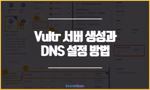Vultr 서버 생성 및 DNS 설정 방법