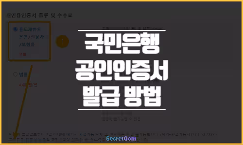 국민은행 공인인증서 공동인증서 발급 방법
